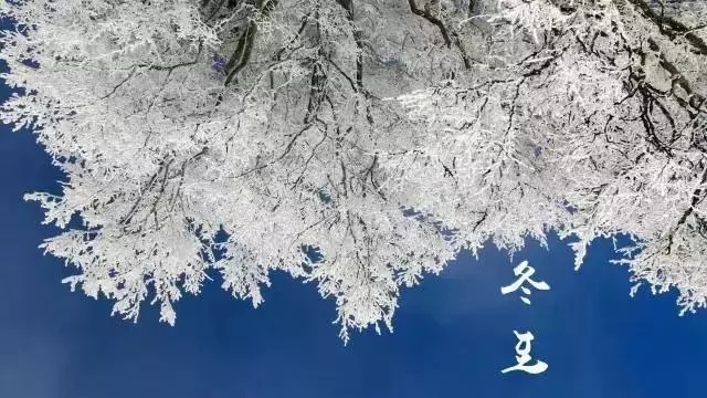 冬至 | 天地源生物果粉系列與您開(kāi)啓一場餃子盛宴